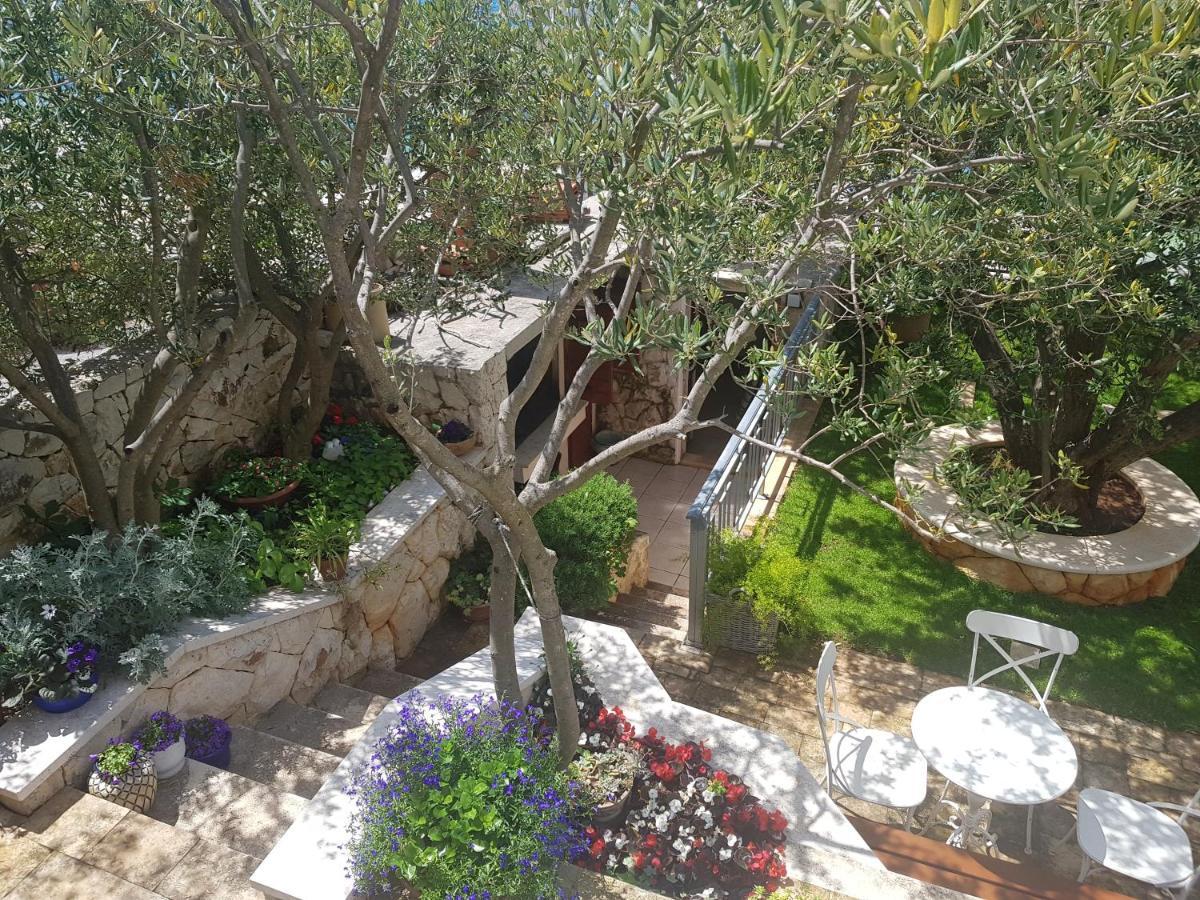 Apartman Roza روغوزنيكا المظهر الخارجي الصورة